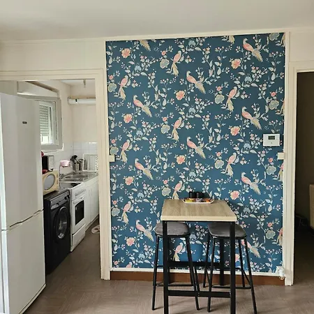 Appartement Superbe T2 - 8 Laennec Lyon